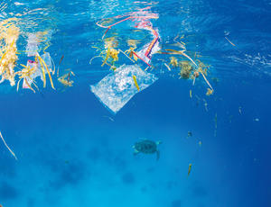 Le défi des plastiques dans les océans
