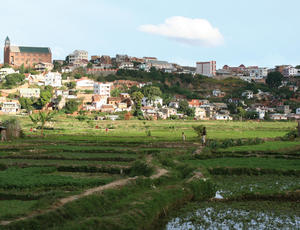 Agriculture urbaine dans les zones inondables d’Antananarivo, Madagascar © RUAF