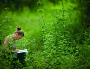 femme assise dans l'herbe