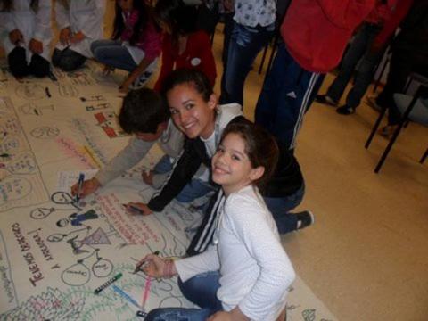 NS 11 art 3