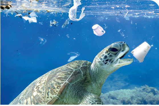 The challenge of plastics in the oceans 