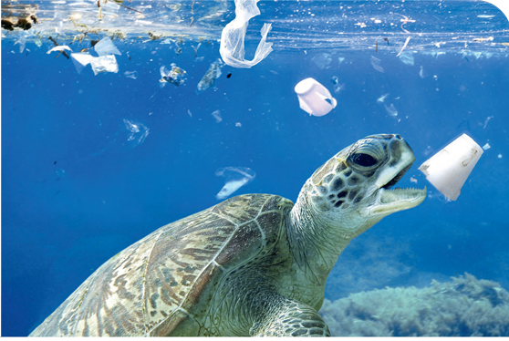 The challenge of plastics in the oceans The challenge of plastics in the oceans