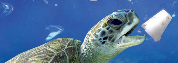 The challenge of plastics in the oceans - Photo Caters / Sipa