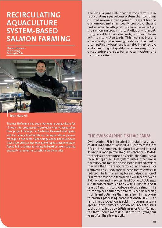 Recirculating aquaculture system-based salmon farming