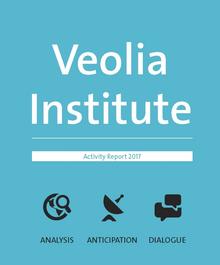 Activity Report 2017